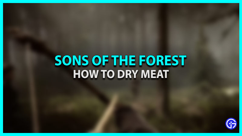 bex mills add sons of the forest drying rack photo