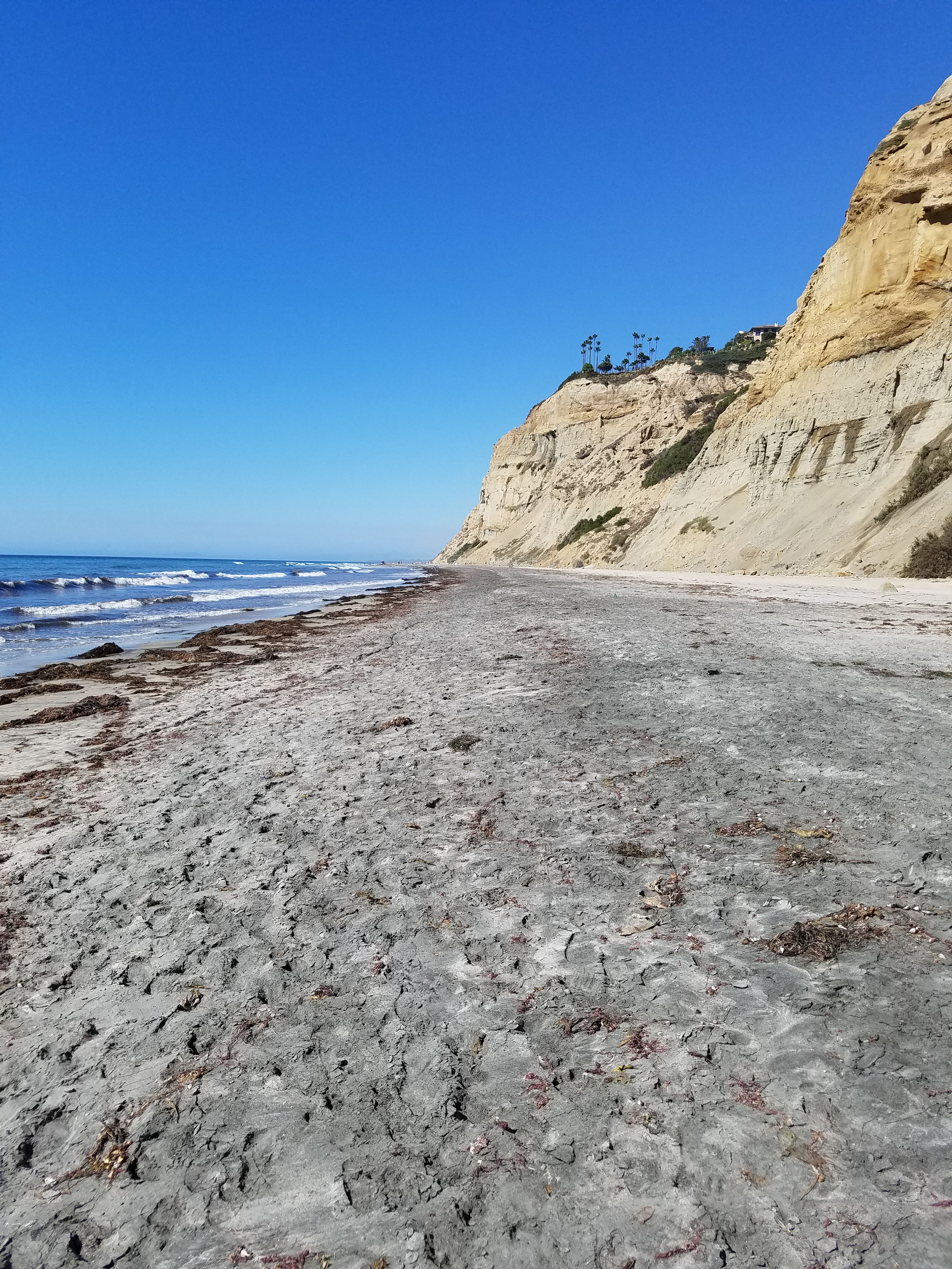 ahmad nunn recommends Naked Beach Black