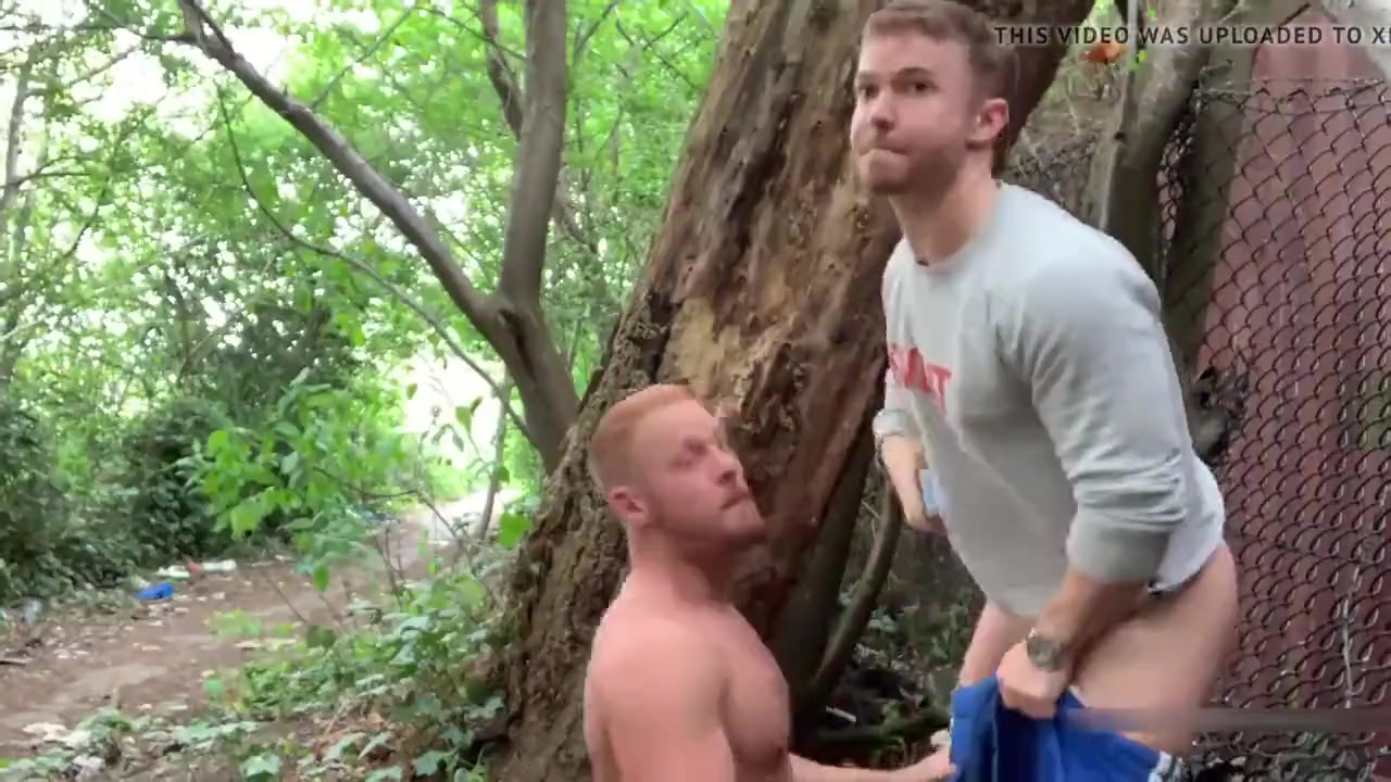 sex in the woods