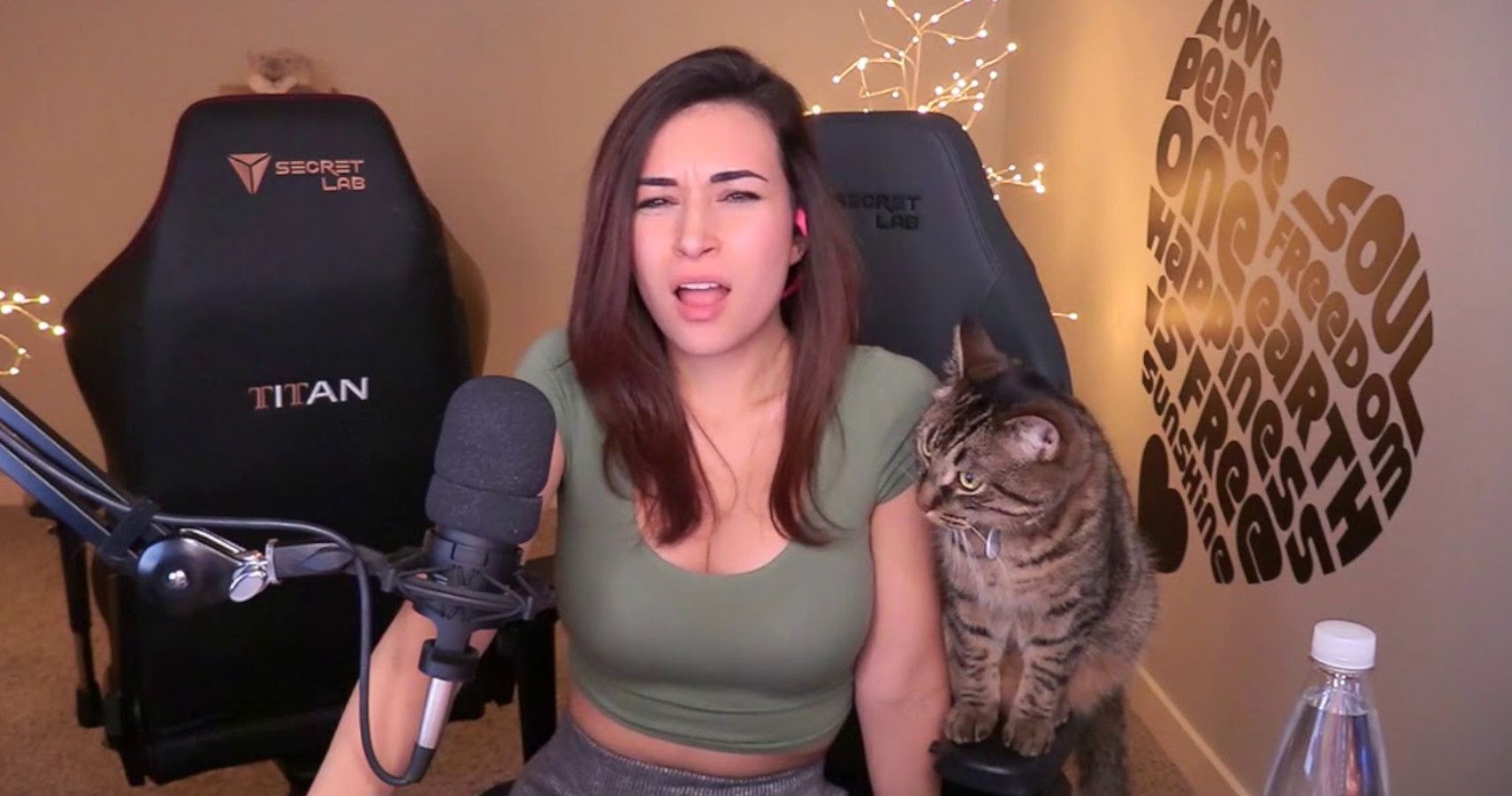 alinity ass