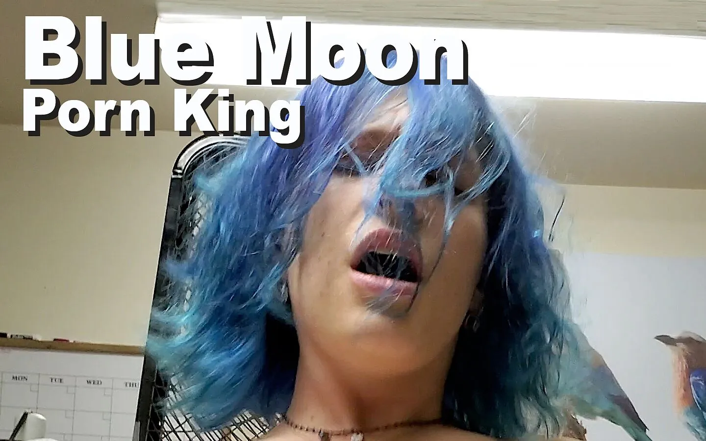 atiqur rahman noman recommends blue moon porn pic