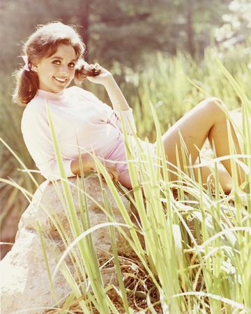 dm mendoza recommends dawn wells nude pictures pic