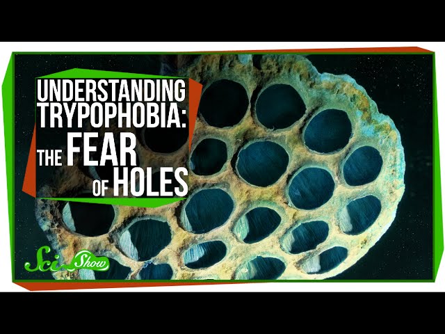 bryan abarca recommends trypophobia porn pic