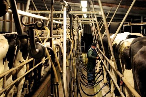 debra speers add photo extreme milking