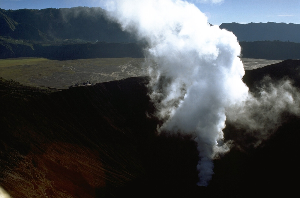 david lineham recommends Cock Erupting