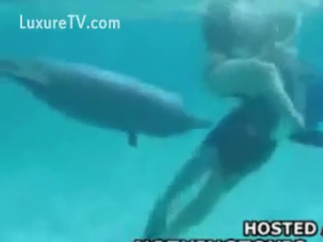 april l stevens recommends man fucks dolphin pic