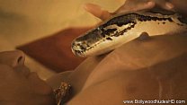 cathy glasscock share man fucks snake photos