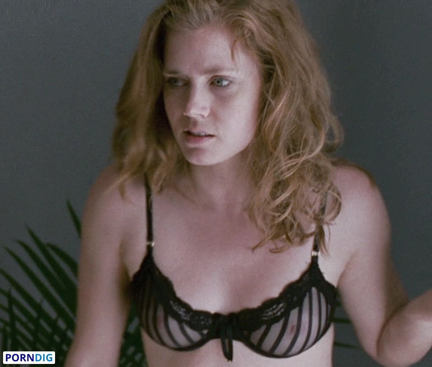 brad barlow recommends amy adams nudes pic