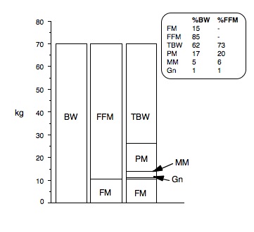 andy mein recommends Ffm Comp