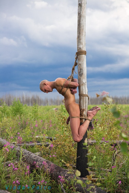 danielle phifer recommends Bondage Outdoors