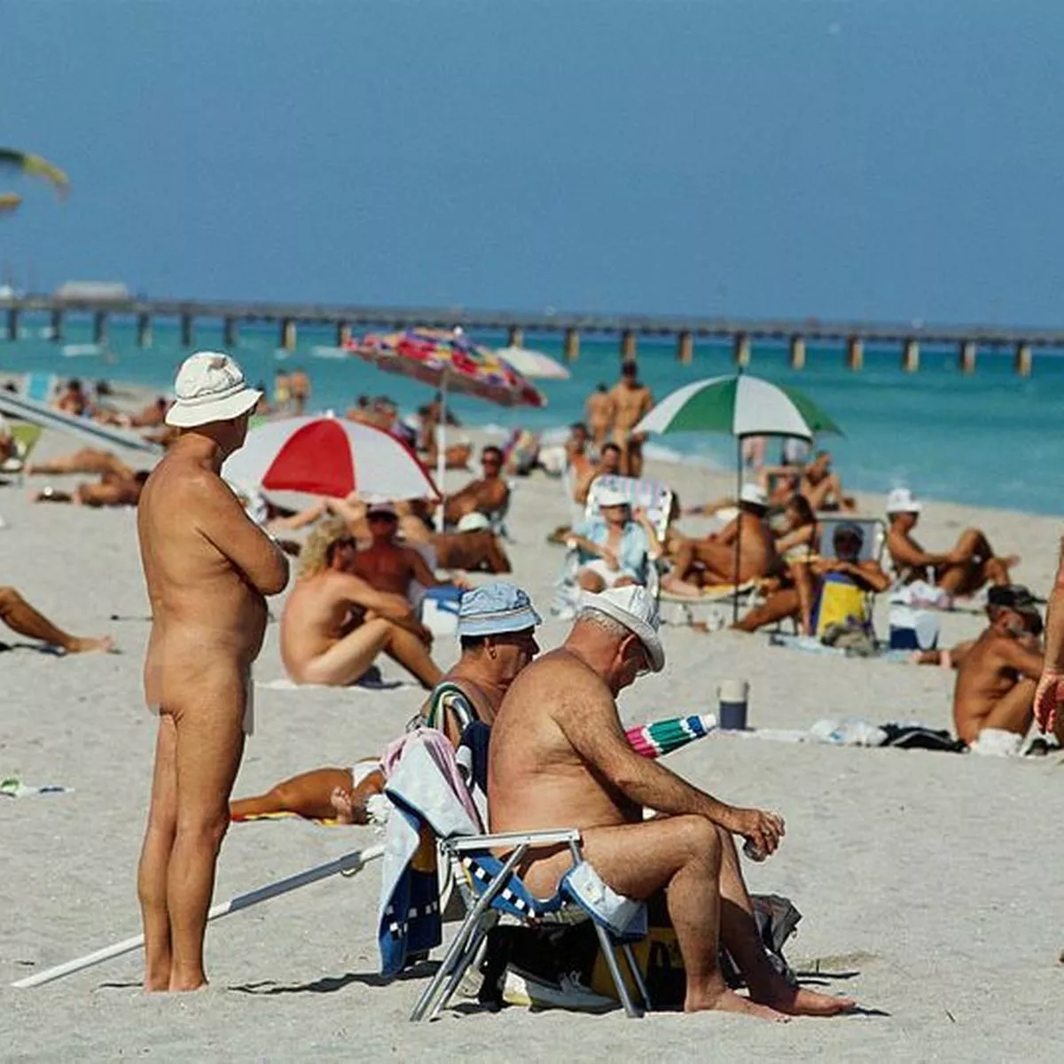 Best of Spy nudists