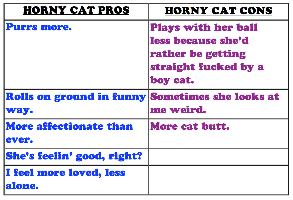 christina cavaluzzi recommends horny cat girls pic