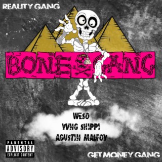 daniel ronning share reality gang com photos