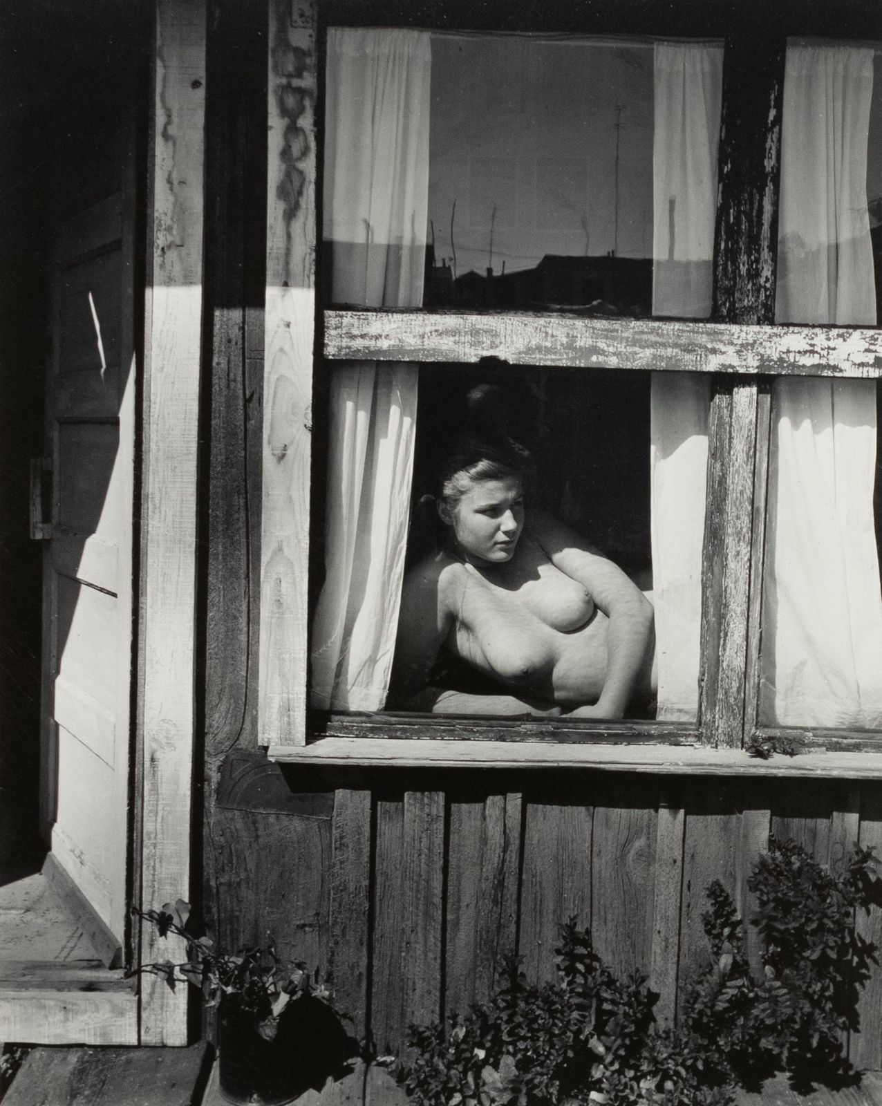 alison brinkman recommends nude at window pic