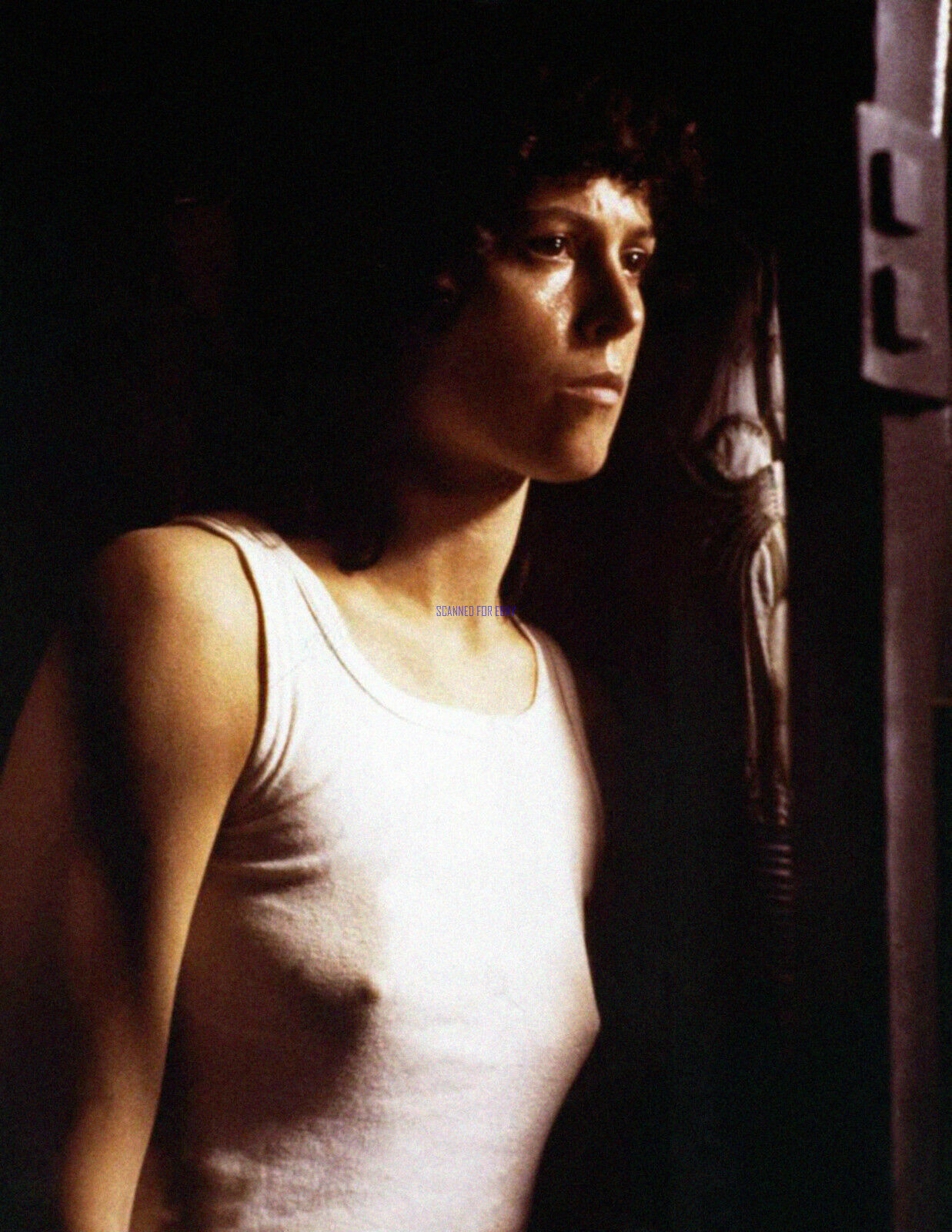 charles palardy recommends sexy sigourney weaver pic