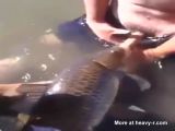 bill pidgeon recommends guy fucks fish pic