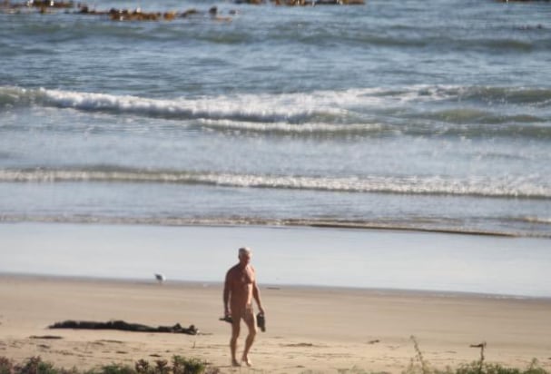 amy paech recommends nude beach exhibitionism pic