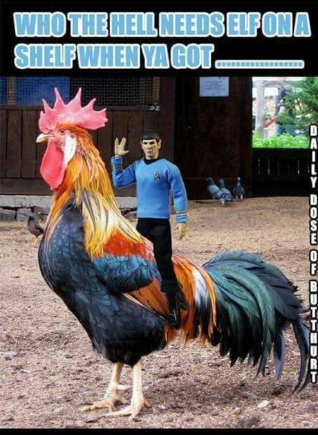 Spock On A Cock body com