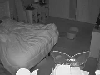 candice jimerson recommends charleys room voyeur pic