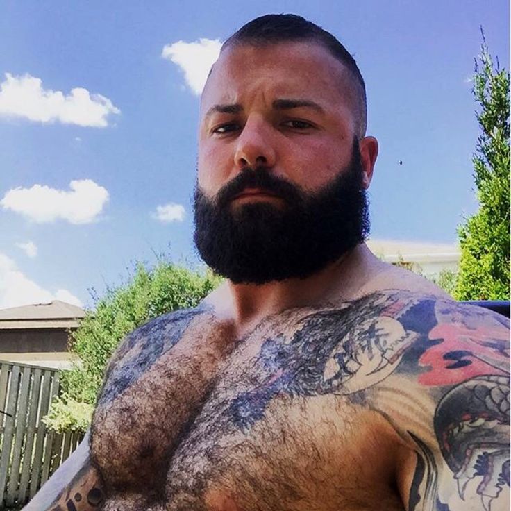 brad kuipers share hairy studs tumblr photos