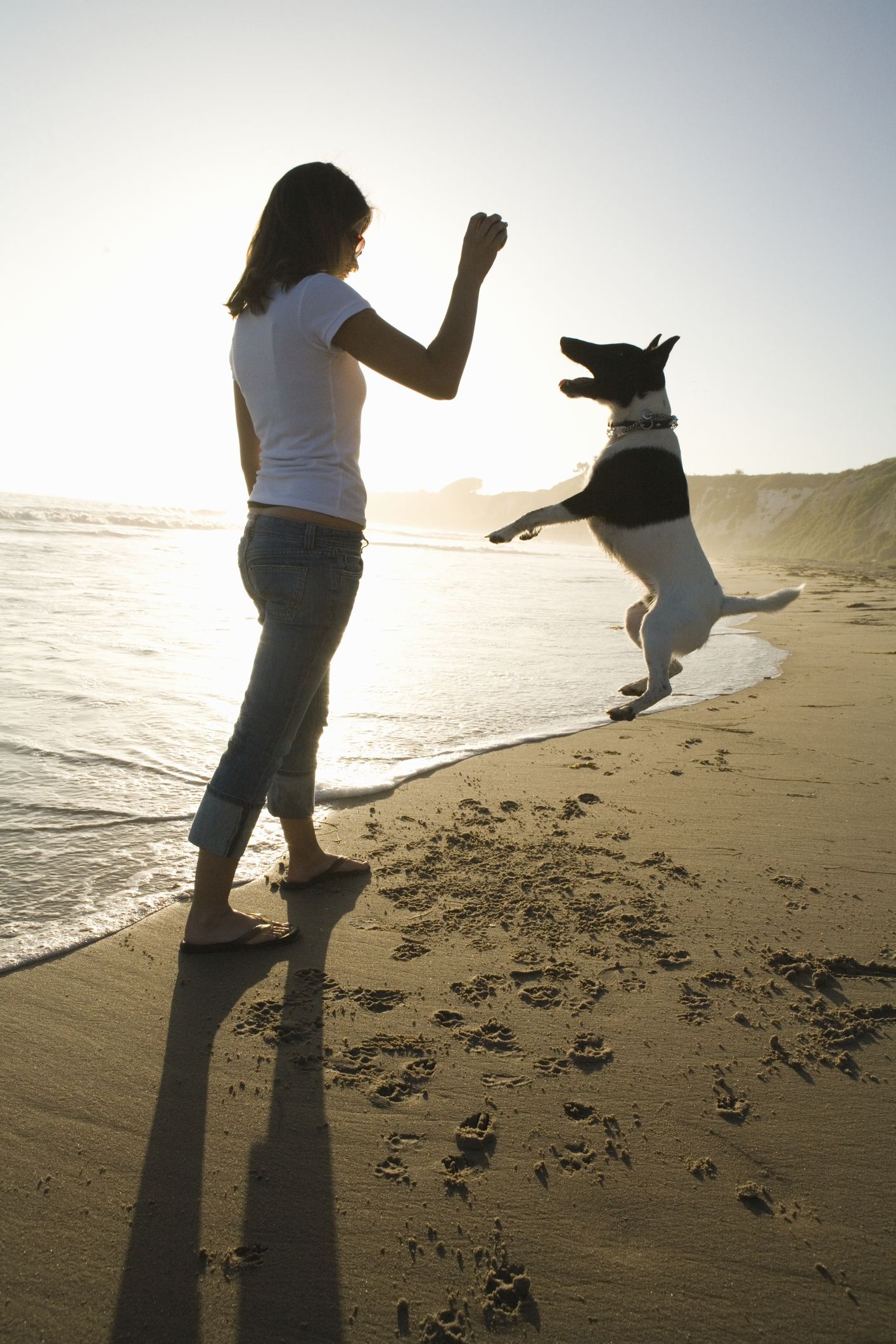 dedi tarmedi share beach ball humping photos