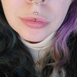 chris koier recommends Smallest Medusa Piercing