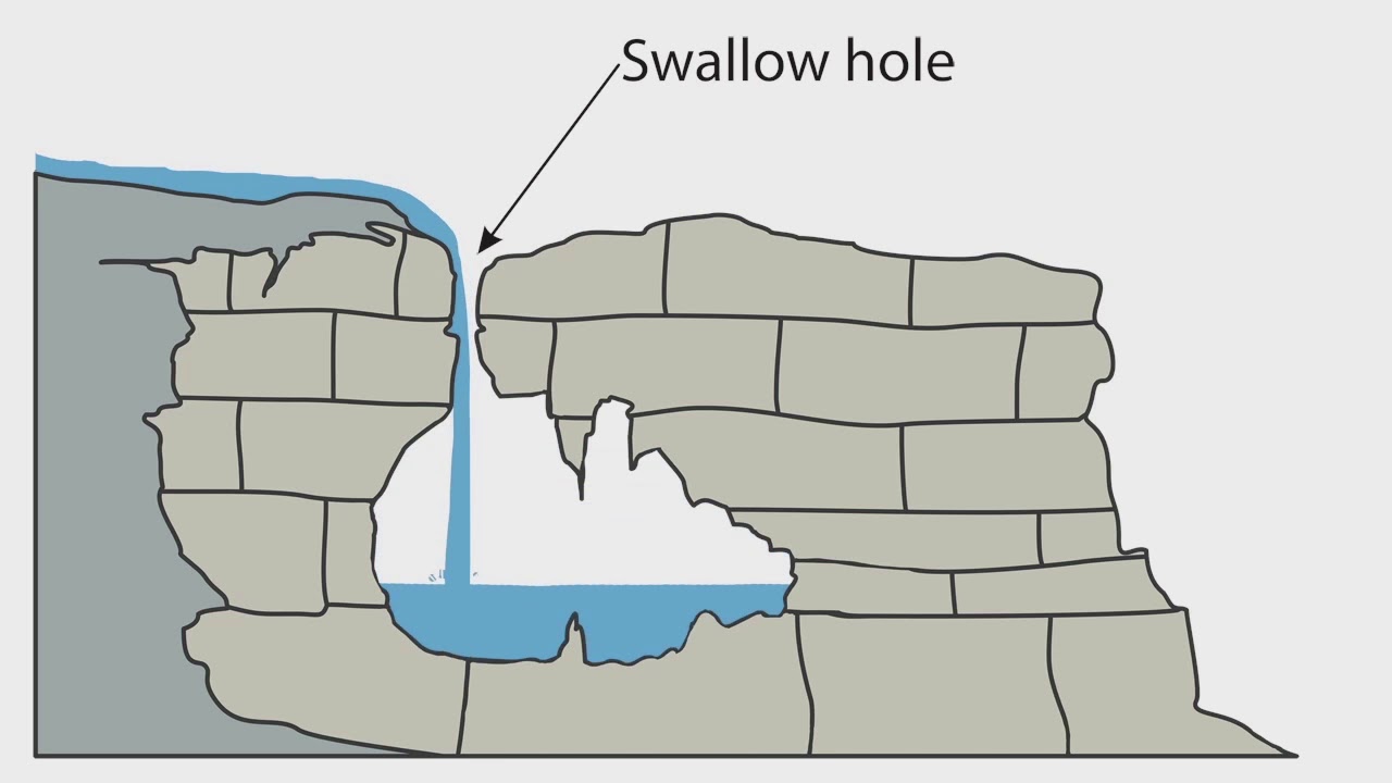 gloeyhole swallow