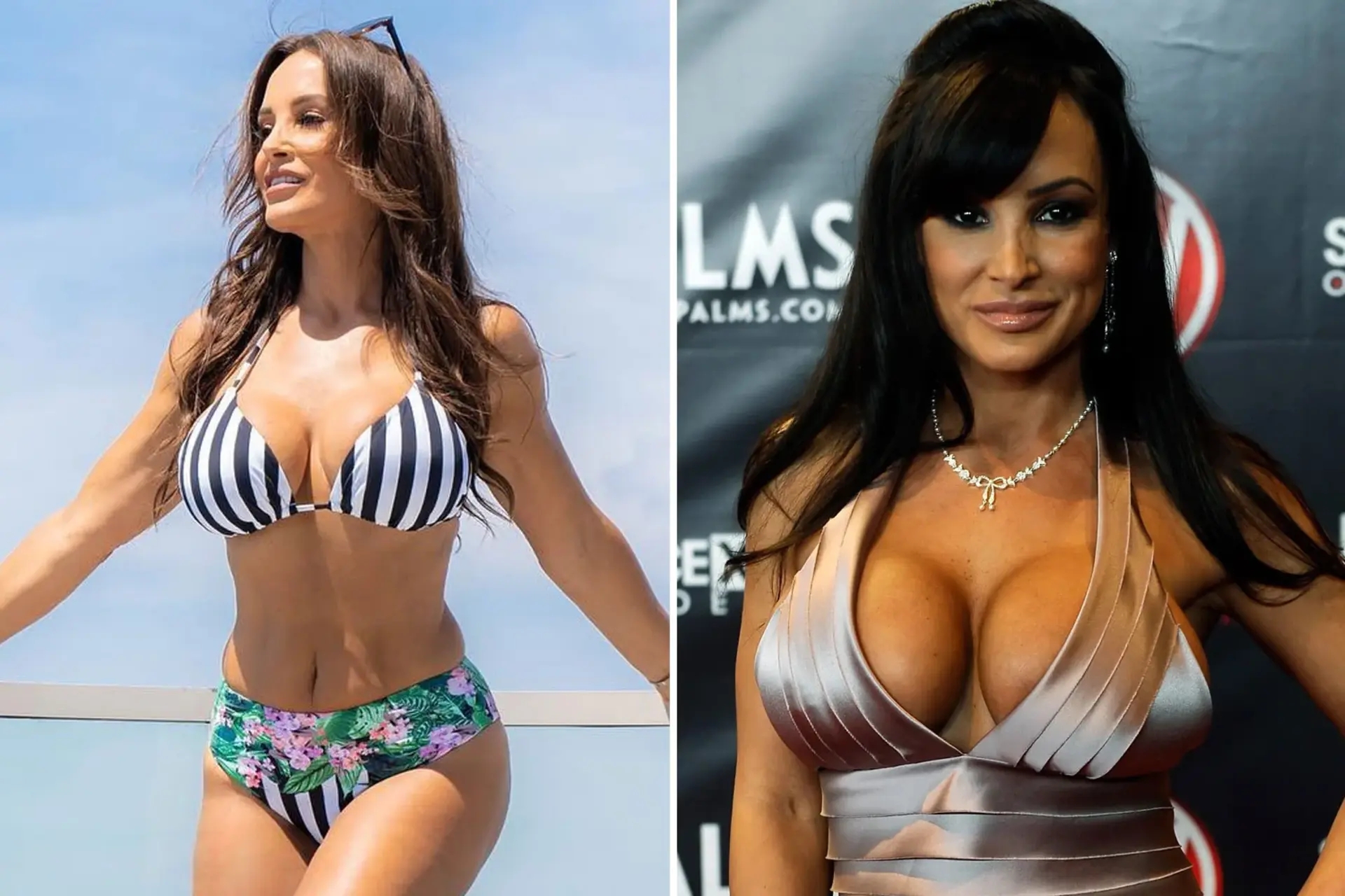 dan weakley recommends lisa ann cup size pic