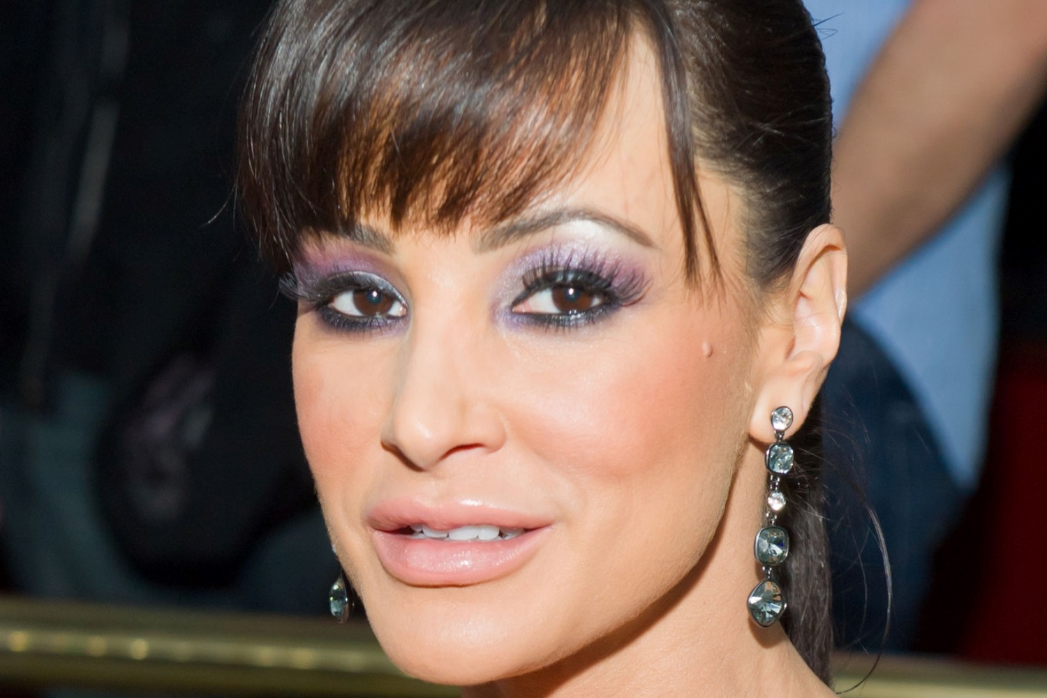 Lisa Ann The Milf dansk porr