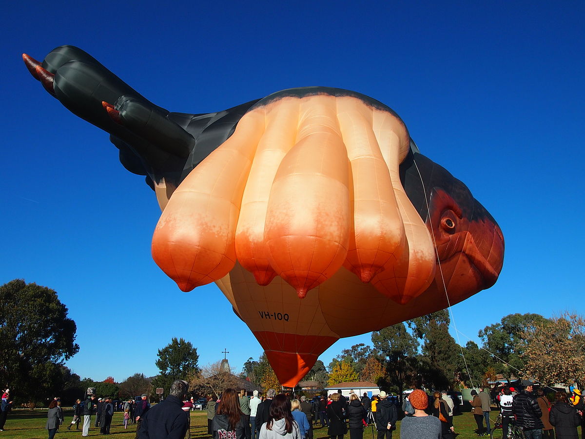 Best of Massive balloon tits