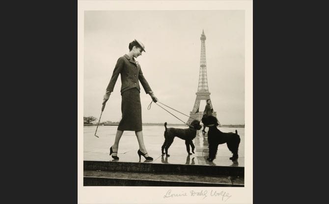 dale cantor recommends paris dahl pic