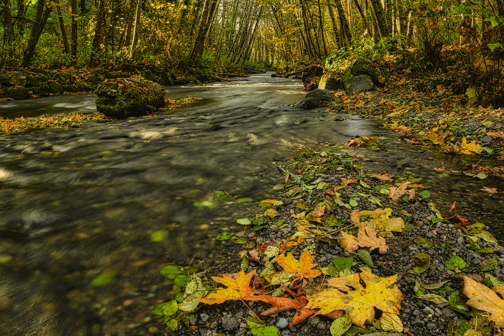 balazs kiraly share autumn briggs photos