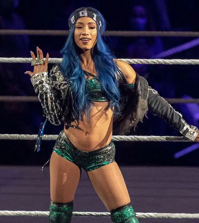 brandie dickerson recommends sasha banks leaked pic