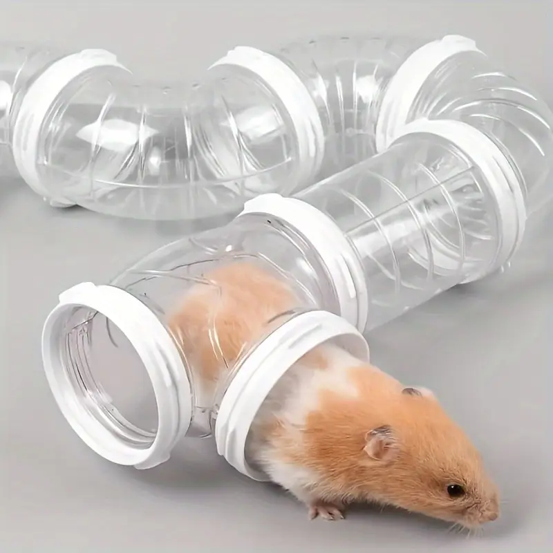 Hamster Sex Tube den hund