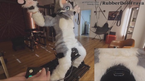 denis chapman recommends fursuit pegging pic