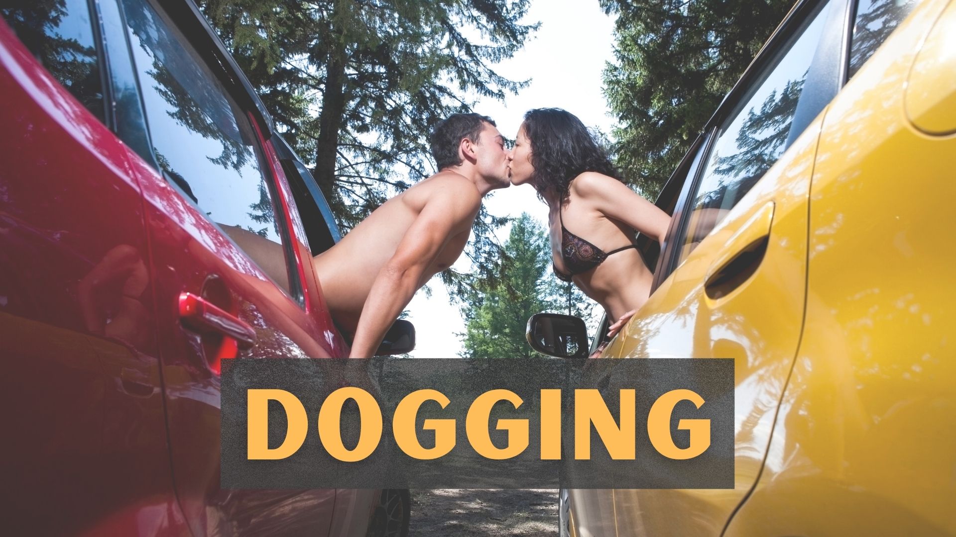 colin meyers recommends dogging kink pic