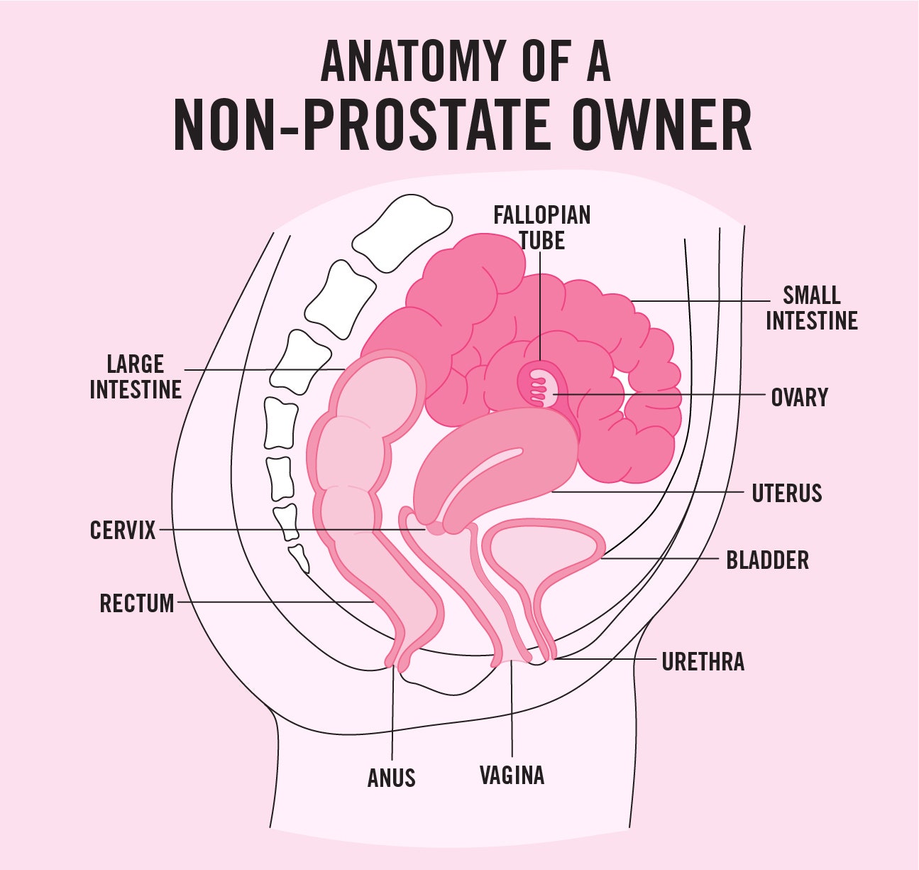 cason jee recommends porn anal forced pic