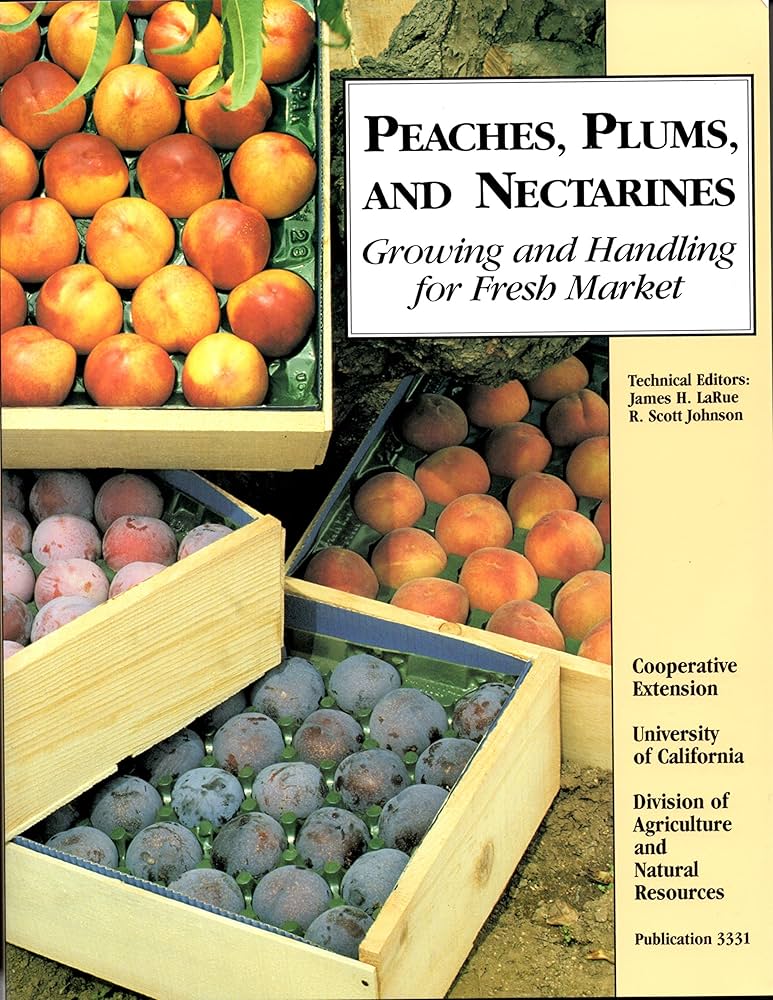 chelsea tabert recommends Peaches Larue