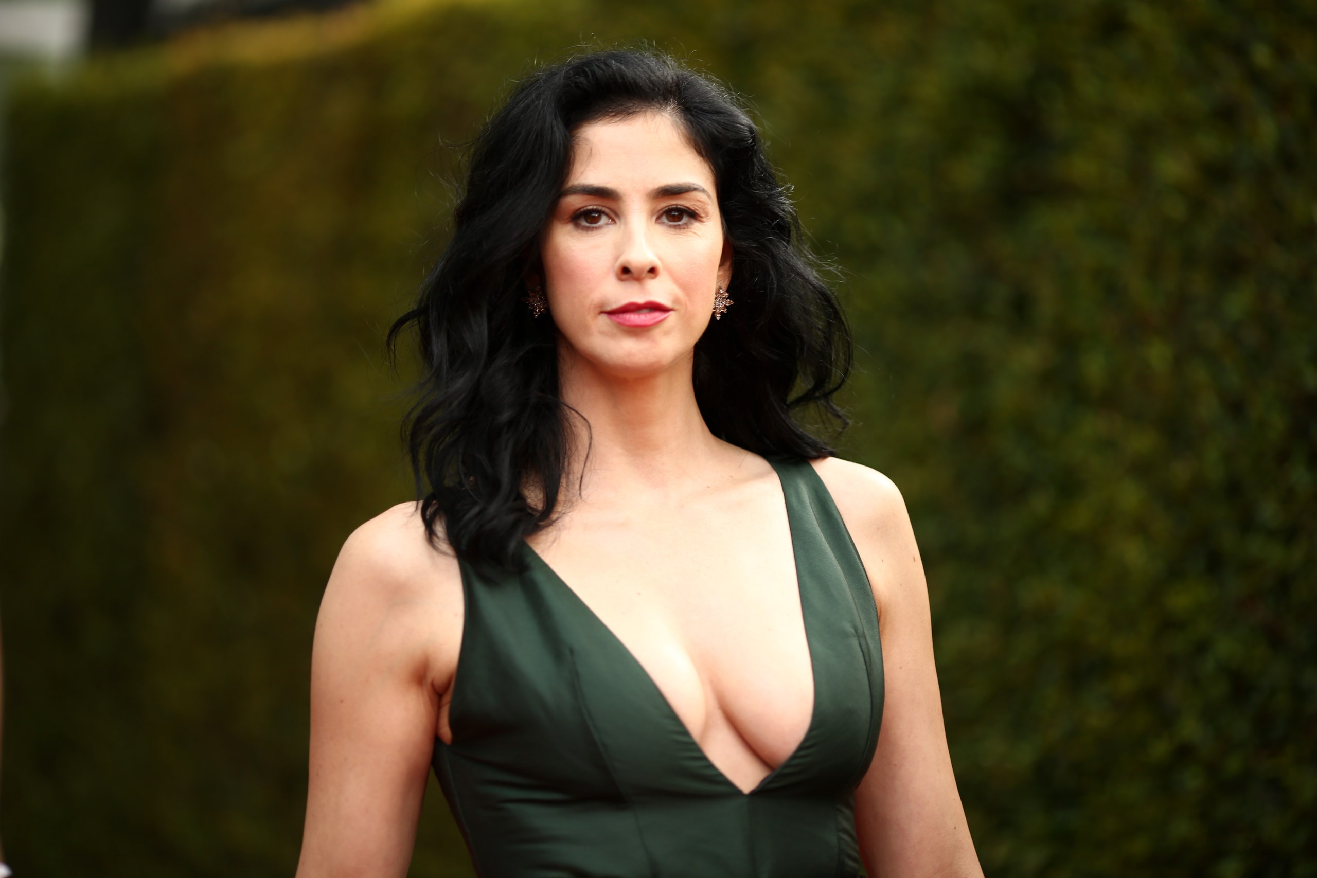 bobby thien add photo sarah silverman sexy