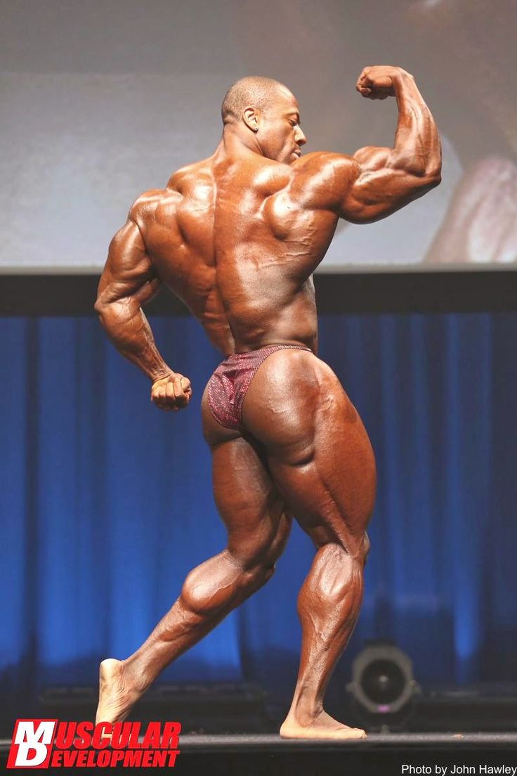 abdallah mazraani recommends Bodybuilder Stripping