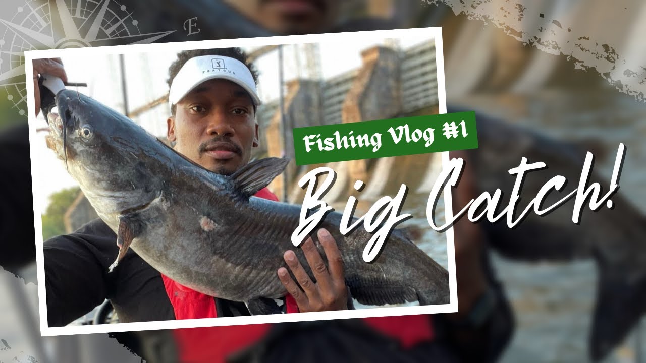 caid rhymes recommends dreamy bull fishing video pic