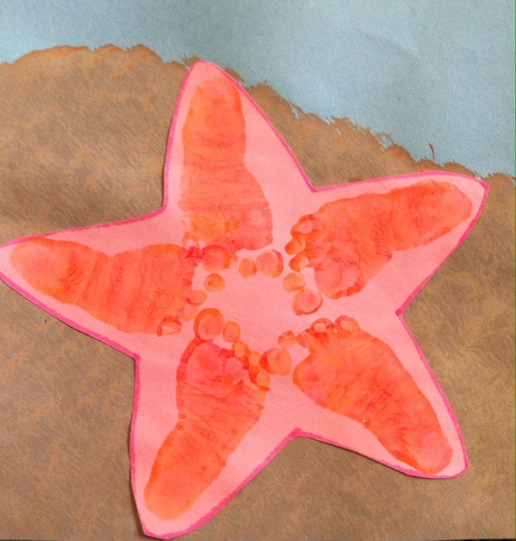 cliff schmidt recommends sammi starfish pic