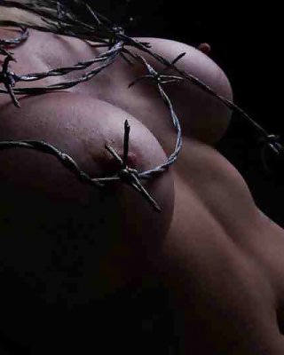 barb wire nude scene