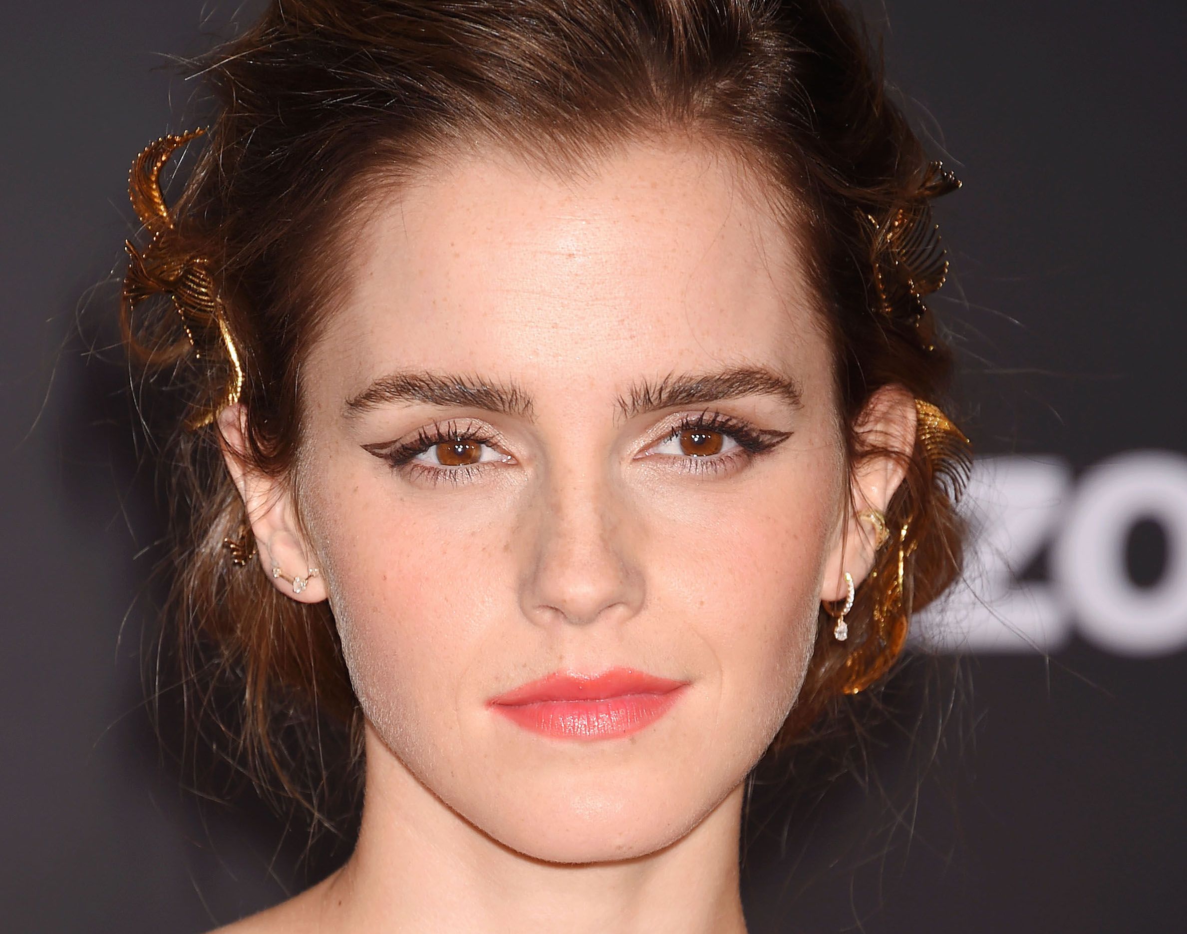 bernalisa adana recommends hairy emma watson pic