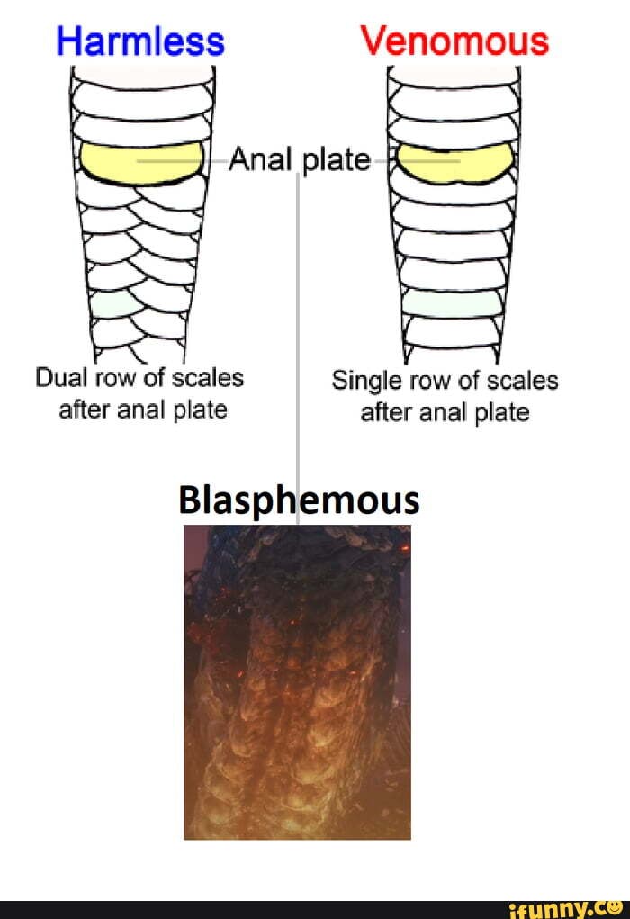 brian falco share dual anal photos