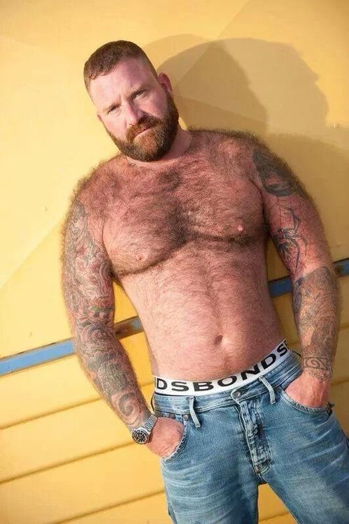 muscle bears tumblr