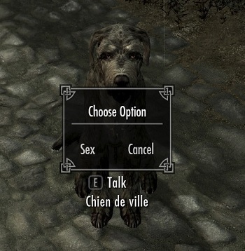 derek balerezo recommends sexual skyrim mods pic