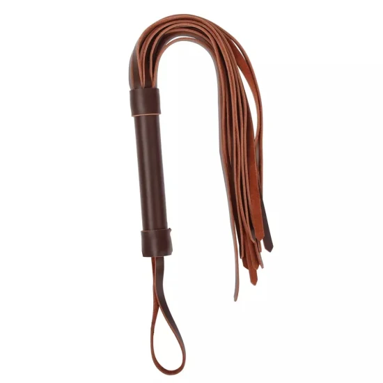 braeden williams add photo bdsm slave whip