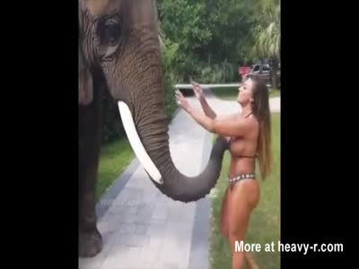 abel baez add elephant free porn photo