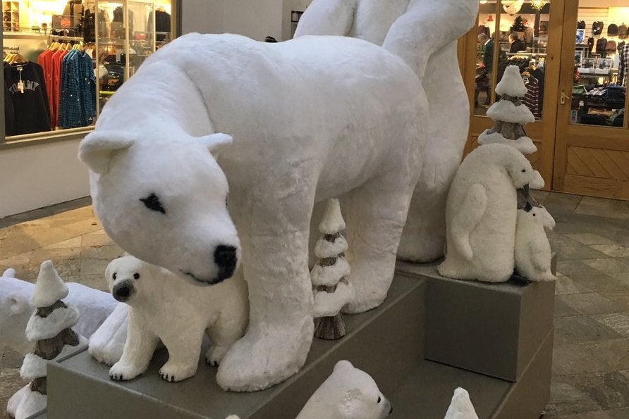 Best of Polar bear porn